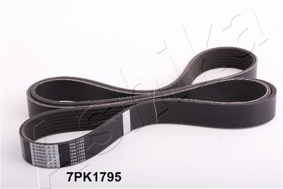 V-Ribbed Belt 112-7PK1795
