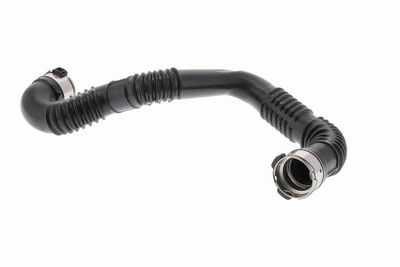 FURTUN EAR SUPRAALIMENTARE ACKOJA A380618 2