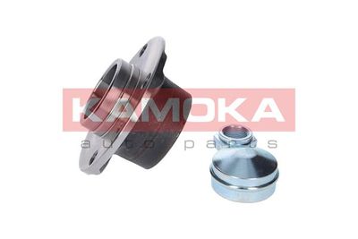 Wheel Bearing Kit 5500026