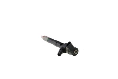 INJECTOR REMANTE 002003001085R 19
