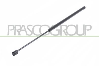 GASFEDER KOFFER-/LADERAUM