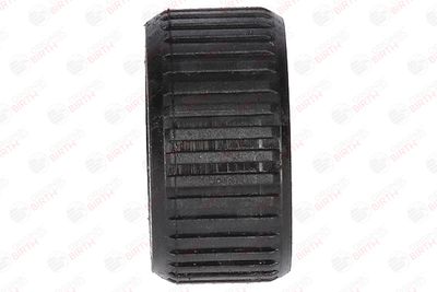 BUCSA ARBORE DE DIRECTIE BIRTH 4453 10