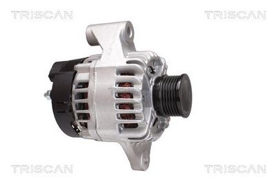 Generator TRISCAN 8310 69012