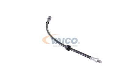 FURTUN FRANA VAICO V220624 35