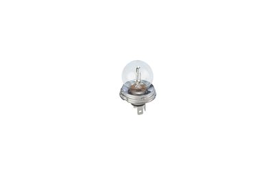 GLüHLAMPE BOSCH 1987302023 25