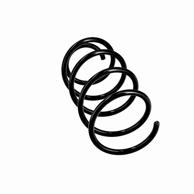 ARC SPIRAL EIBACH R10404 12