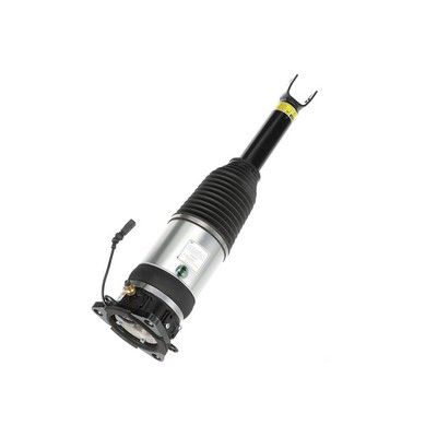 LUFTFEDERBEIN Arnott AS2969 72