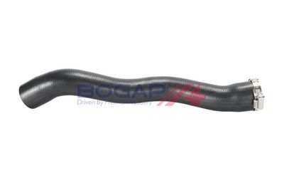 FURTUN EAR SUPRAALIMENTARE BOGAP R1711215 1