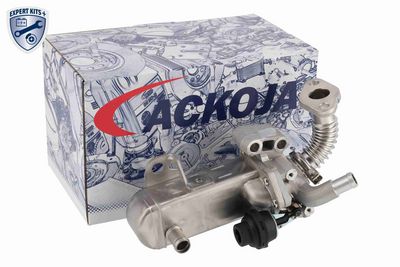MODUL-EGR ACKOJA A38630004 1