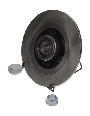 Bremseskive JURID 562981J-1 for RENAULT