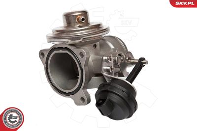 EGR Valve 14SKV020