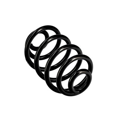 ARC SPIRAL EIBACH R10050 11
