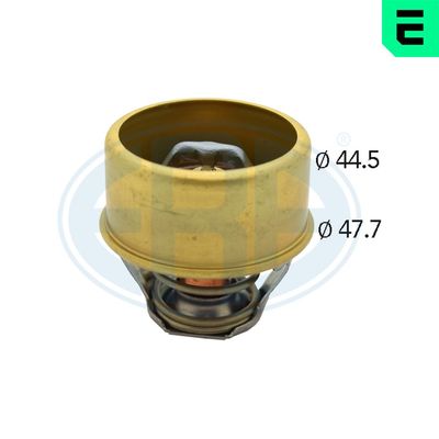 TERMOSTAT LICHID RACIRE