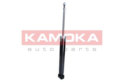 Shock Absorber 2000925