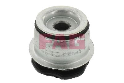 Schaeffler FAG Lagerung, Achskörper
