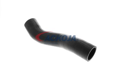 FURTUN EAR SUPRAALIMENTARE ACKOJA A389605 40