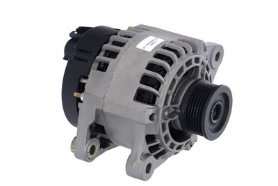GENERATOR / ALTERNATOR REMANTE 011003000013R 49