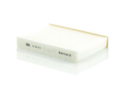 Filter, Innenraumluft