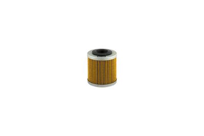 Filtru ulei CHAMPION COF463