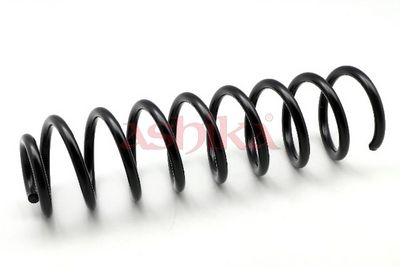 Fahrwerksfeder