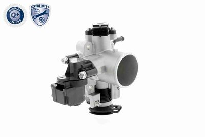 CARCASA CLAPETA ACKOJA A53810002 11