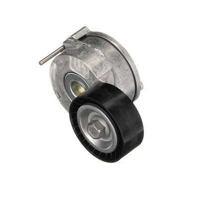 INTINZATOR CUREA CUREA DISTRIBUTIE GATES T39188 30