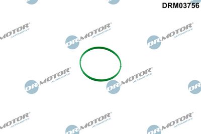 Dr.Motor Automotive Tarpiklis, droselio korpusas