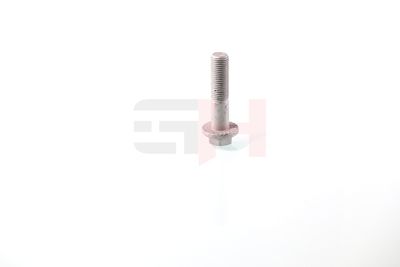 SURUB CAPAT DE AX GH GH393055 6