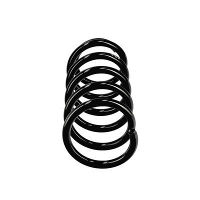 ARC SPIRAL EIBACH R10978 13