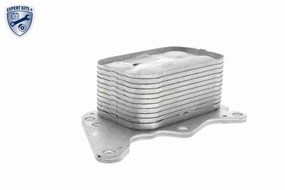 RADIATOR ULEI ULEI MOTOR VEMO V42600008 10