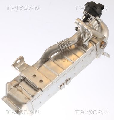RADIATOR RECIRCULARE GAZE DE ESAPAMENT TRISCAN 881311022 1
