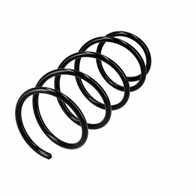 ARC SPIRAL EIBACH R10991 3