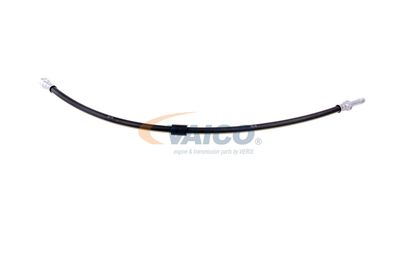 FURTUN FRANA VAICO V300547 36