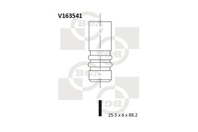 Výfukový ventil BGA V163541