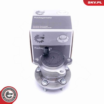 SET RULMENT ROATA ESEN SKV 29SKV310