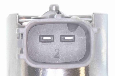 POMPA DE INALTA PRESIUNE ACKOJA A38250004 2