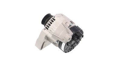 GENERATOR / ALTERNATOR REMANTE 011003000365R 23