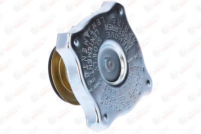 BUSON RADIATOR BIRTH 8088 10