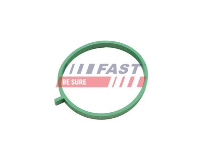 Tarpiklis, įsiurbimo kolektorius