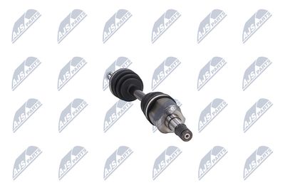 PLANETARA NTY NPWCH034 31