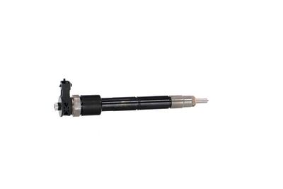 INJECTOR REMANTE 002003002307R 37