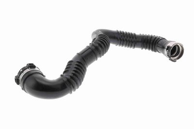 FURTUN EAR SUPRAALIMENTARE