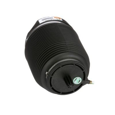 LUFTFEDER FAHRWERK Arnott A2960 45