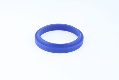 Dichtring