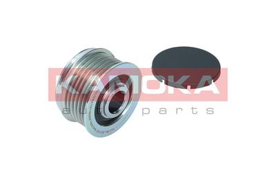 Alternator Freewheel Clutch RC145