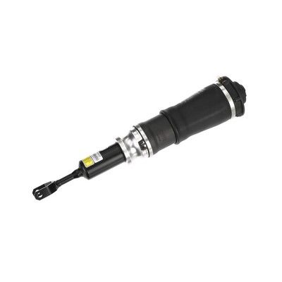 LUFTFEDERBEIN Arnott AS3222 62