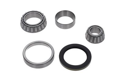 Kavo Parts Rato guolio komplektas