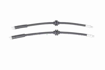 FURTUN FRANA VAICO V240091 7