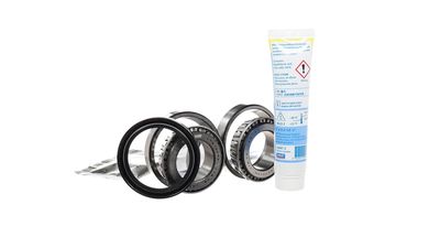 RADLAGERSATZ SKF VKBA9066CL 16