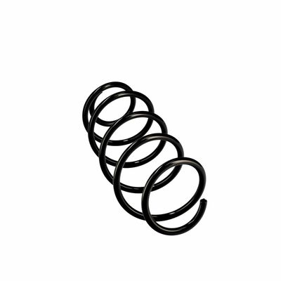ARC SPIRAL EIBACH R10079 24